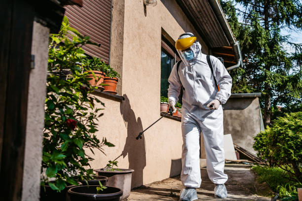 Best Wasp Removal Services  in North Webster, IN