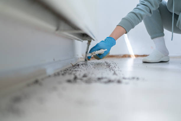 Best Commercial Pest Control Services  in North Webster, IN